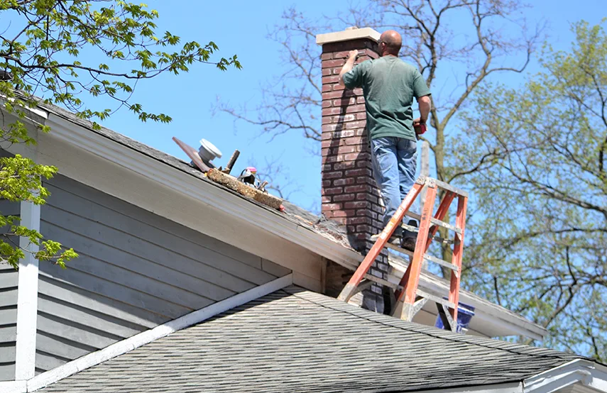 Chimney & Fireplace Inspections Services in Wake Forest, NC